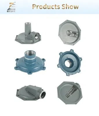 Aluminum-Die-Casting-Service-ADC12-Xh-G-111-Gas-Regulator-Hous(5)(001)(001)